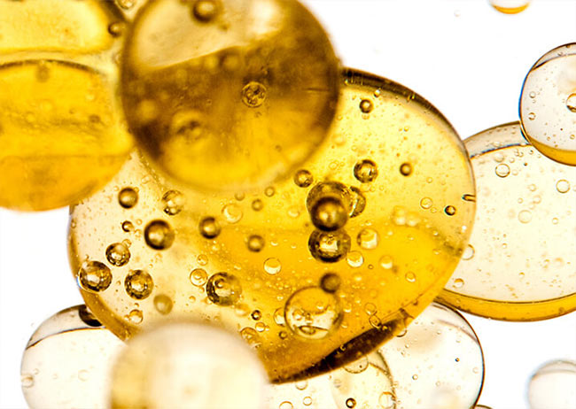 Anti-Aging