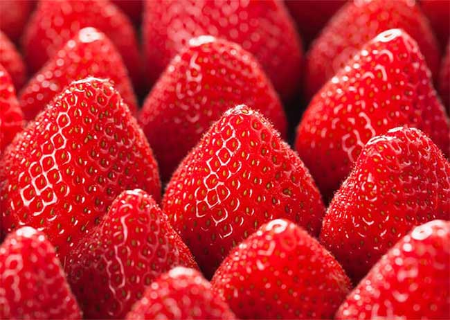 Frische, rote Erdbeeren dicht aneinander gereiht.