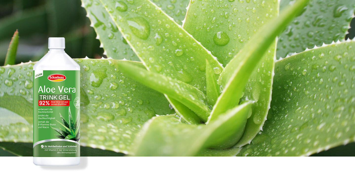 aloe-vera-trink-gel-schaebens-hautelastizität-hautfeuchtigkeit-b-vitamine-wohlbefinden-schönheit