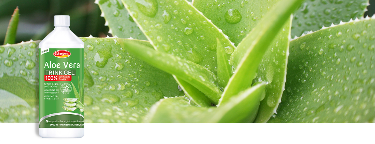 aloe-vera-trinkgel-schaebens-aloevera-gel-nahrungsergaenzung-ergaenzung