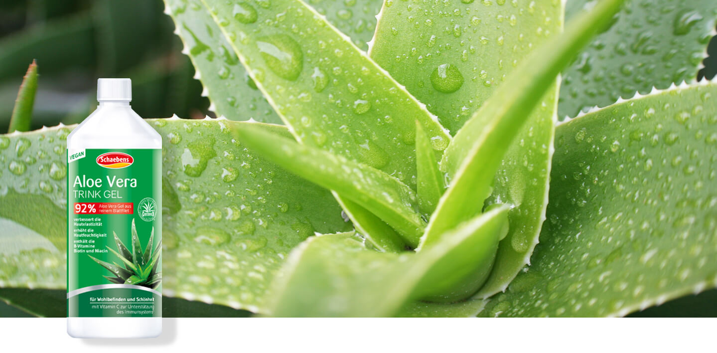 aloe-vera-trink-gel-schaebens-hautelastizität-hautfeuchtigkeit-b-vitamine-wohlbefinden-schönheit