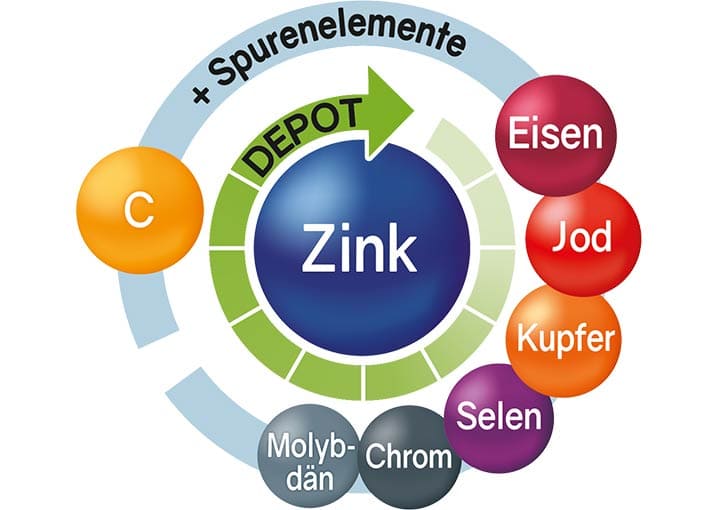 zink-immun-kur-nahrungsergaenzungsmittel-schaebens-zink-vitamin-c-spurenelemente-unterstuetzend-abwehrkraefte-komplex-vegan-depot-technologie-info-informartion