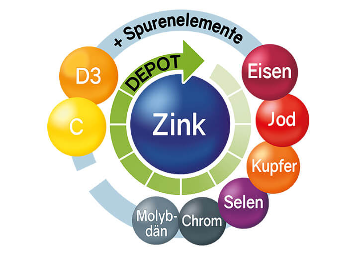 schaebens-zink-immunkur
