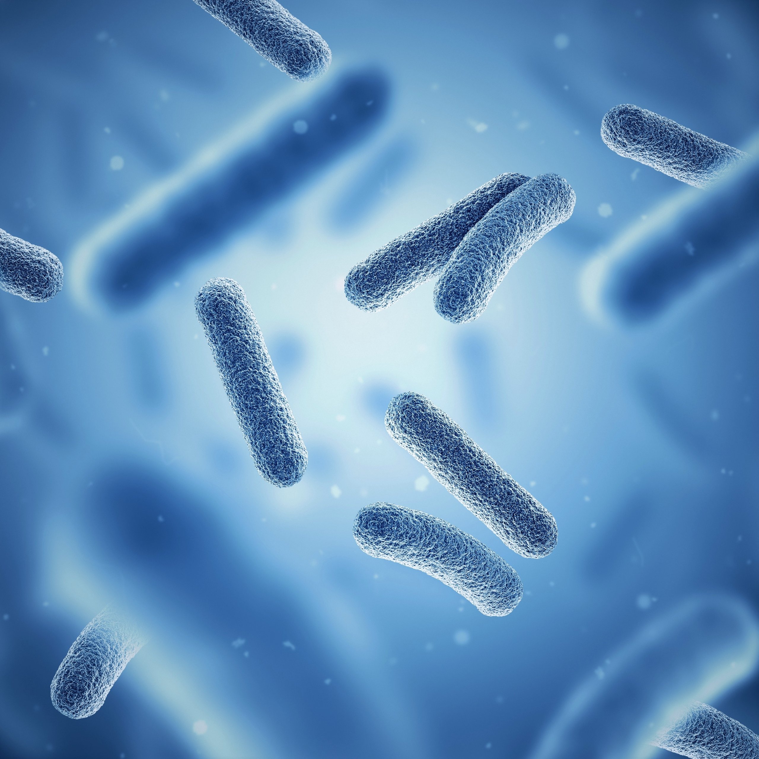 Bacteria. Bacterium. Blue color. Prokaryotic microorganisms. 3d Darmflora Verdauung