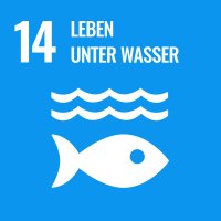 sustainable-development-goals-sdgs-nachhaltigkeit-un-ziele-nachhaltige-entwicklung-oekonomie-wirtschaft-soziales-agenda-2030
