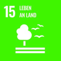 sustainable-development-goals-sdgs-nachhaltigkeit-un-ziele-nachhaltige-entwicklung-oekonomie-wirtschaft-soziales-agenda-2030