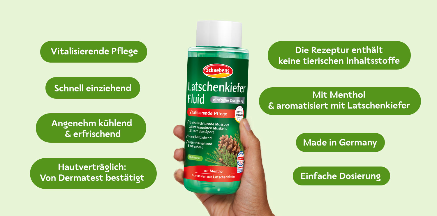 Latschenkiefer-Bild2
