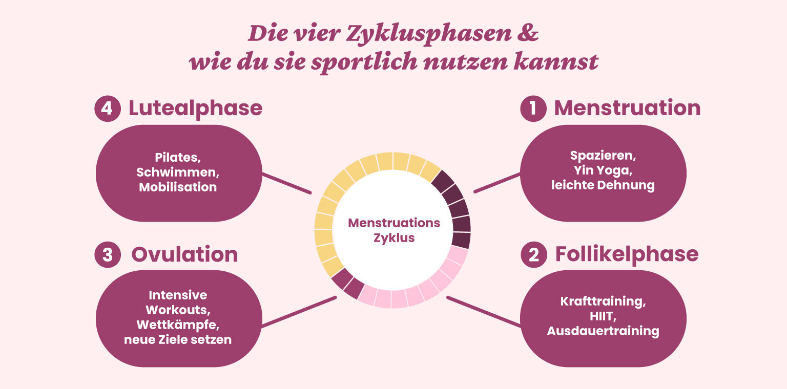 Diagramm der vier Zyklusphasen mit passenden Sportarten: Menstruation, Follikelphase, Ovulation, Lutealphase.