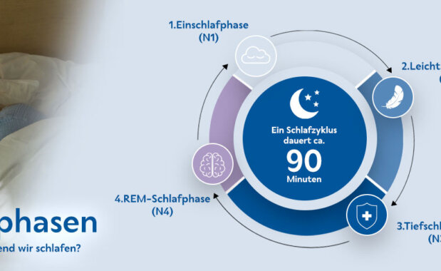 Schlafphasen-Infografik