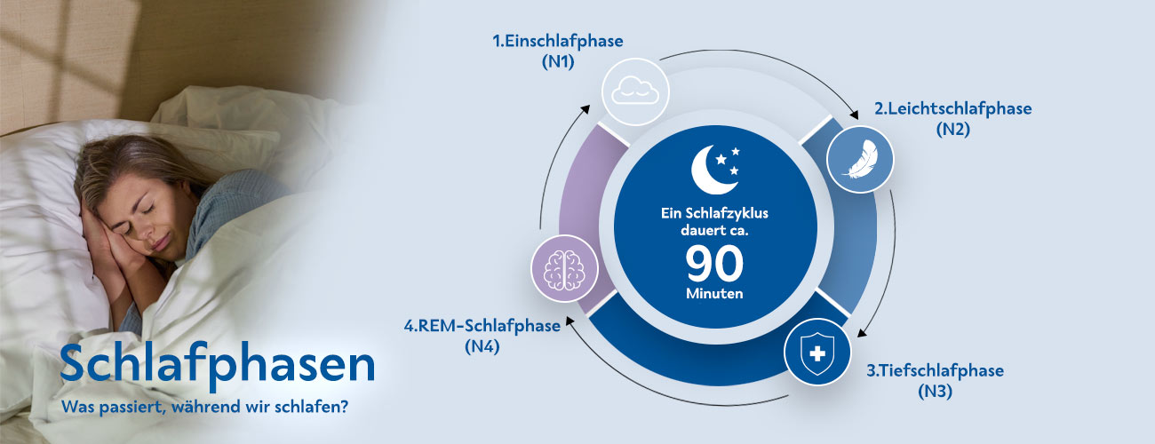 Schlafphasen-Infografik Schlafphasen-Infografik