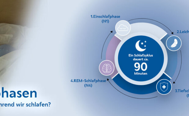 Schlafphasen-Infografik